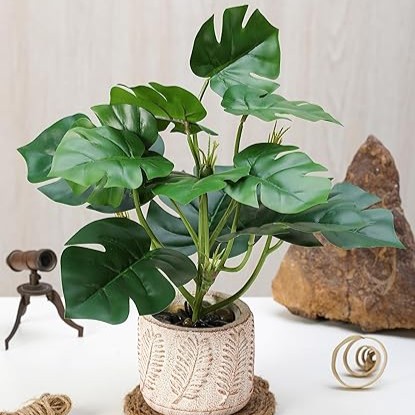 Indoor 