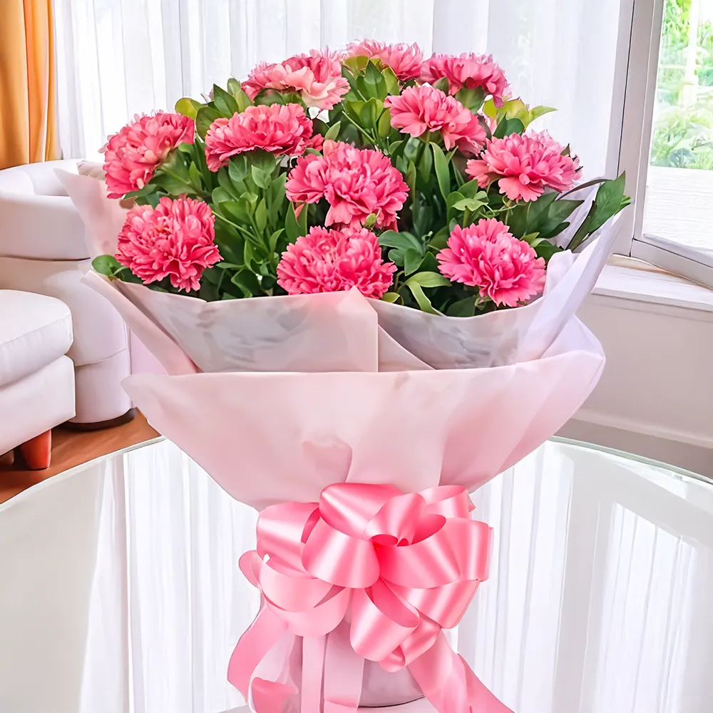 Carnations 
